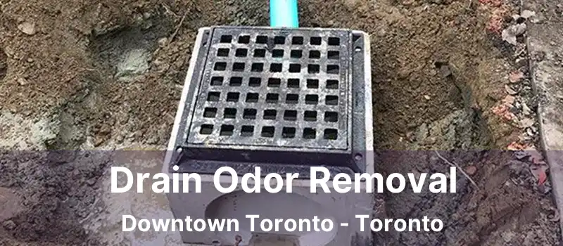 Drain Odor Removal Downtown Toronto - Toronto